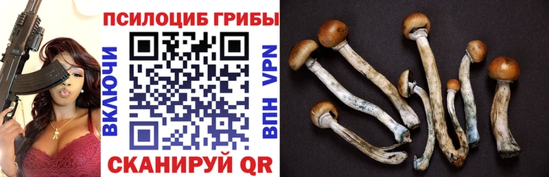 Псилоцибиновые грибы мицелий Северодвинск